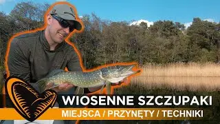 🐣🌼🎣 jak skutecznie łowić wiosenne 