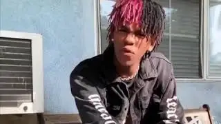 Dc The Don - Megalodon  (Official Snippet)