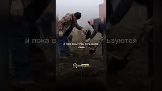 Деяния которые будут продолжаться после смерти человека 