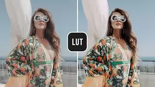 FREE Color Grading LUT - Filmmaker