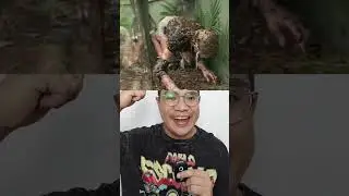 KALO KALIAN BERANI GAK LEWAT KOTAK ULAR? 