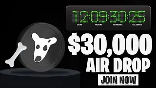 Get $30,000 Dogs Airdrop | Tomarket App Airdrop Complete Details | tomarket app airdrop telegram