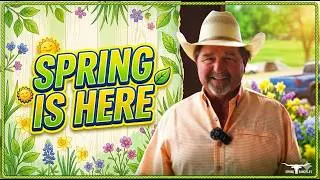 Spring is here!