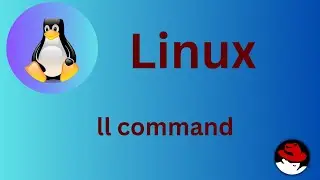 40/50 Basic Linux Commands | ll  command Explained 