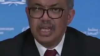 Director de la O.M.S.