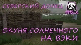 Русская рыбалка 4. Северский Донец. Фарм. Спиннинг. Ультралайт. Окунь солнечный. Вэки.