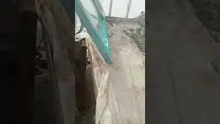как сейчас выглядит мойка редиски