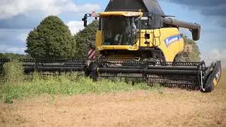 MacDon FD1 FlexDraper in Peas