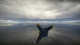 A Cougar Compilation