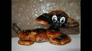 поделки из чаги / поделки своими руками