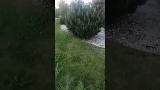 2 июня 2024 г.