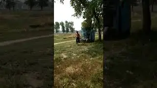 #short
