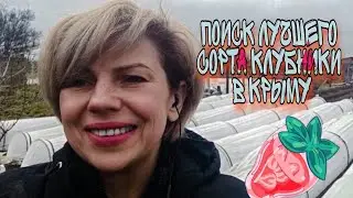 Про ягоду - о клубнике и ежевике//