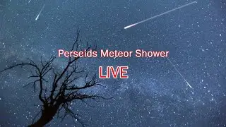 Perseids Meteor Shower 2024 (15 Meteors  Captured 😉😀)! CHECK time-stamps in Description! Live view.