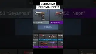 скам