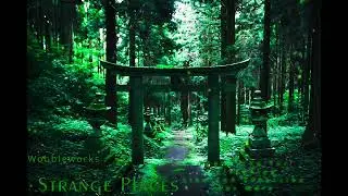 Wobbleworks- Strange Places