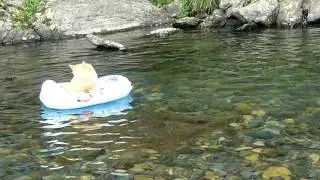 馬利拉MOMO.MOV