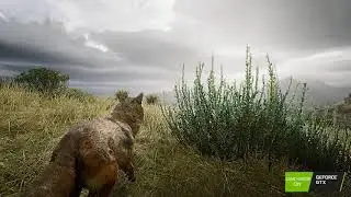 RdR2- Photorealistic MOD -Ultra max settings