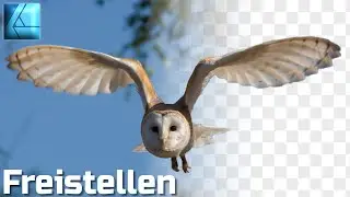 Freistellen / Ausschneiden | Affinity Designer Tutorial Deutsch