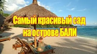 Самый красивый сад на Бали Grand Hyatt
