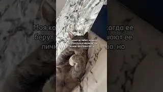 Личные границы #рекомендации #калининград #cat