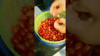 #cherrytomatoes #freshharvest #asmrvideo