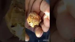 грецкий орех чистка