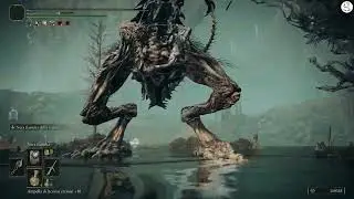 Elden Ring - Shadow of the Eldtree - Gioco - Pt.4