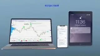 Trading Volume Terminal - платформа для комплексного анализа рынка. Подписывайся и узнавай новое