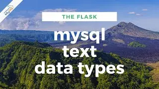 MySql TEXT Data Type