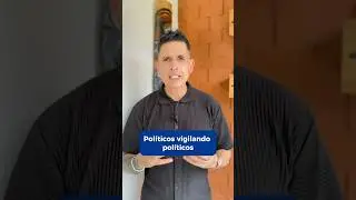 Elección de procurador