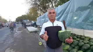 Мастчоҳ Ҷумъа бозори якум участка 11 10 24г