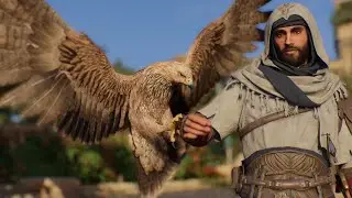 Assassin's Creed Mirage Has the Best Stealth Mechanics in the Series
