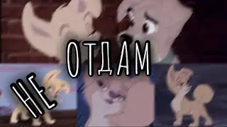 Леди и Бродяга 2: Клип 