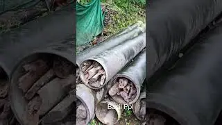 ഇതിനെ കൊണ്ട് ഇങ്ങനേയും ഉപകാരം 😁😁