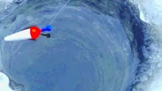 Зимние Лещи Финского Залива. Клёв в глухозимье Лучше, чем Весной.Такое может быть?!?!
