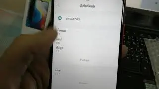 Close ViVO Service  system exception