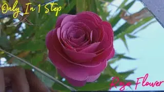 🤯Make Beautiful #Flower only #QUILLING🌺#papercraft #Craft #quilling #diy💮#Rose #paperrose #tutorial🌷