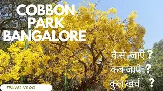 Cobbon Park Bangalore(Karnataka)Sunday Vlog 😚, Under 500 rupees visit, #superfrist  #trending #vlog