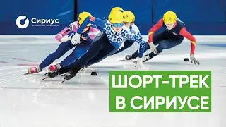 ШОРТ-ТРЕК В ОЛИМПИЙСКОМ ОБЪЕКТЕ