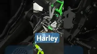 Harley 