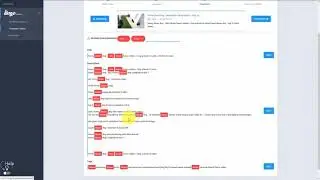 How to rank your youtube videos for foreign keywords - Lingo Blaster