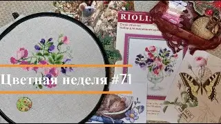 Цветная неделя 71 // 26.09.2024-02.10.2024. Айне, Совиный лес, Кларт, Жар-Птица, Риолис