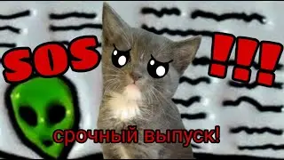 СРОЧНЫЕ НОВОСТИ! У нас украли ТОММИ! Выпуск # 3