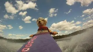 driving fast boat