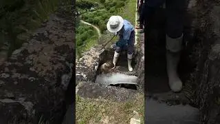 This man in Japan has a very dangerous job! 🤯 (@japan.no.1 on IG) #shorts #japan