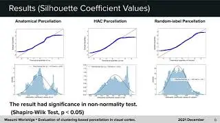 Evaluation of clustering-based parcellation in visual cortex