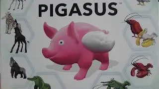 Pigasus Review