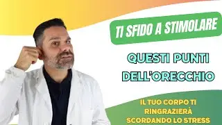 Ti sfido a stimolare questi punti dell'orecchio il tuo corpo ti ringrazierà scordando lo stress