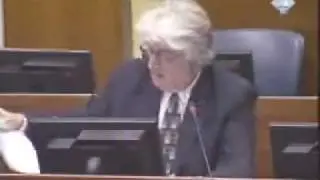 Radovan Karadzic-Uvodna rec odbrane 33/46